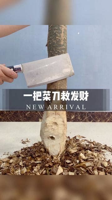 左砍樹右砍樹